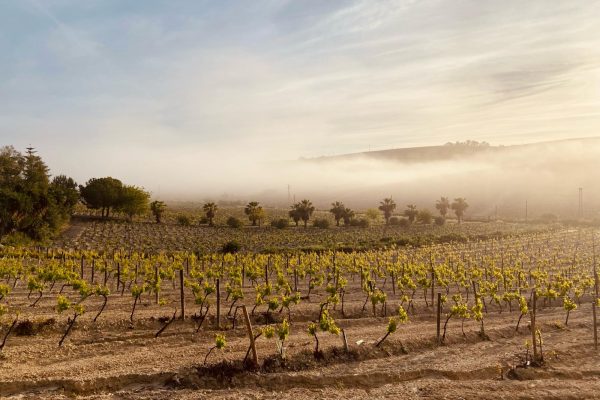 First PALIMPSEST Residential Workshop in Jerez de La Frontera