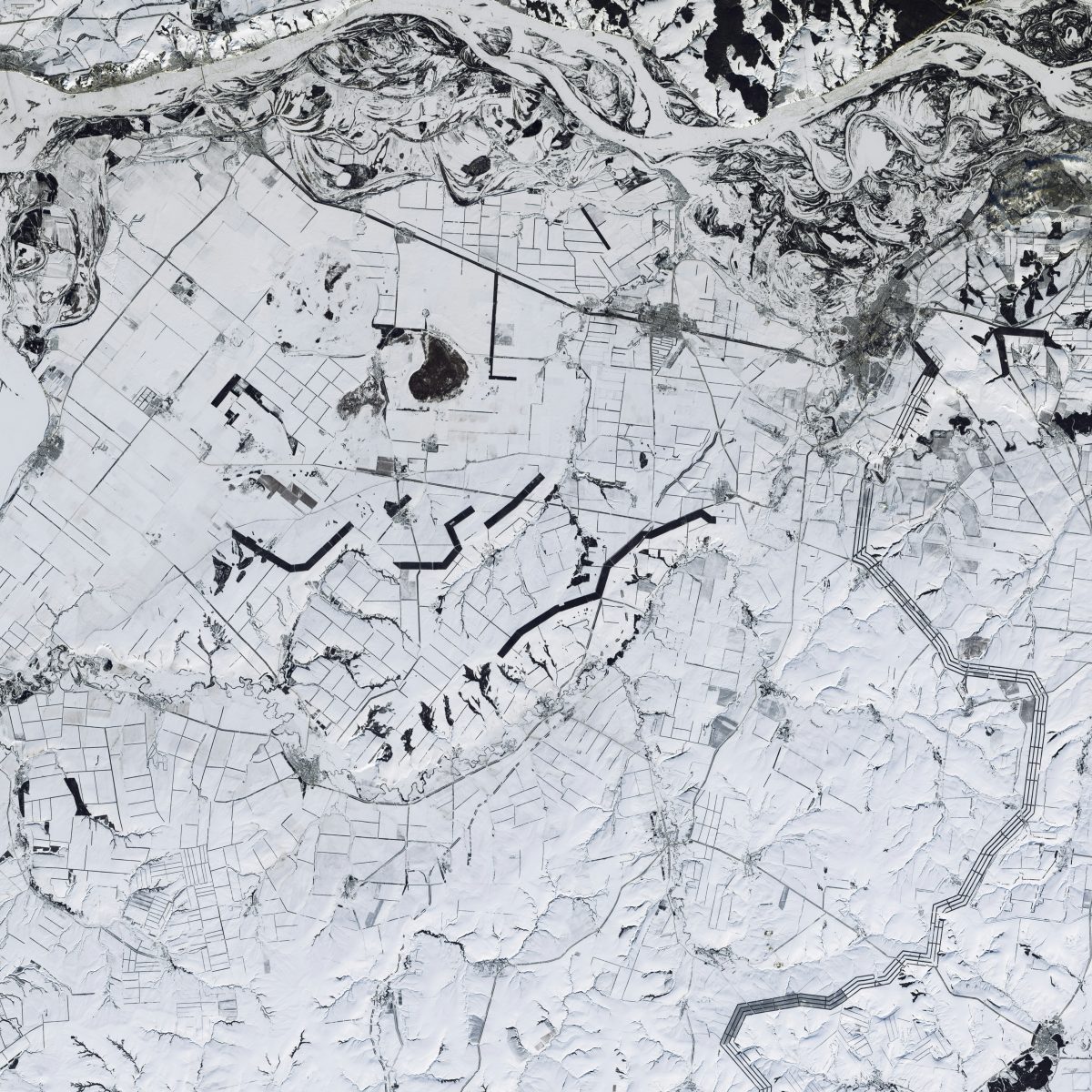 Planning for climate neutrality: governance models in dialogue