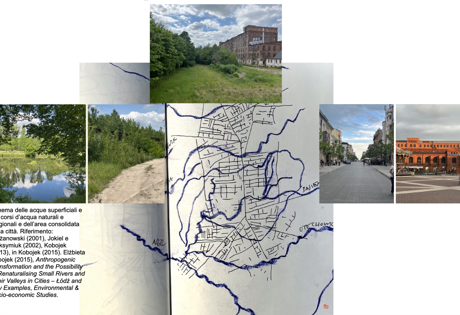 Entangling soil and sky: water, mycelium and meander as languages of landscape contamination